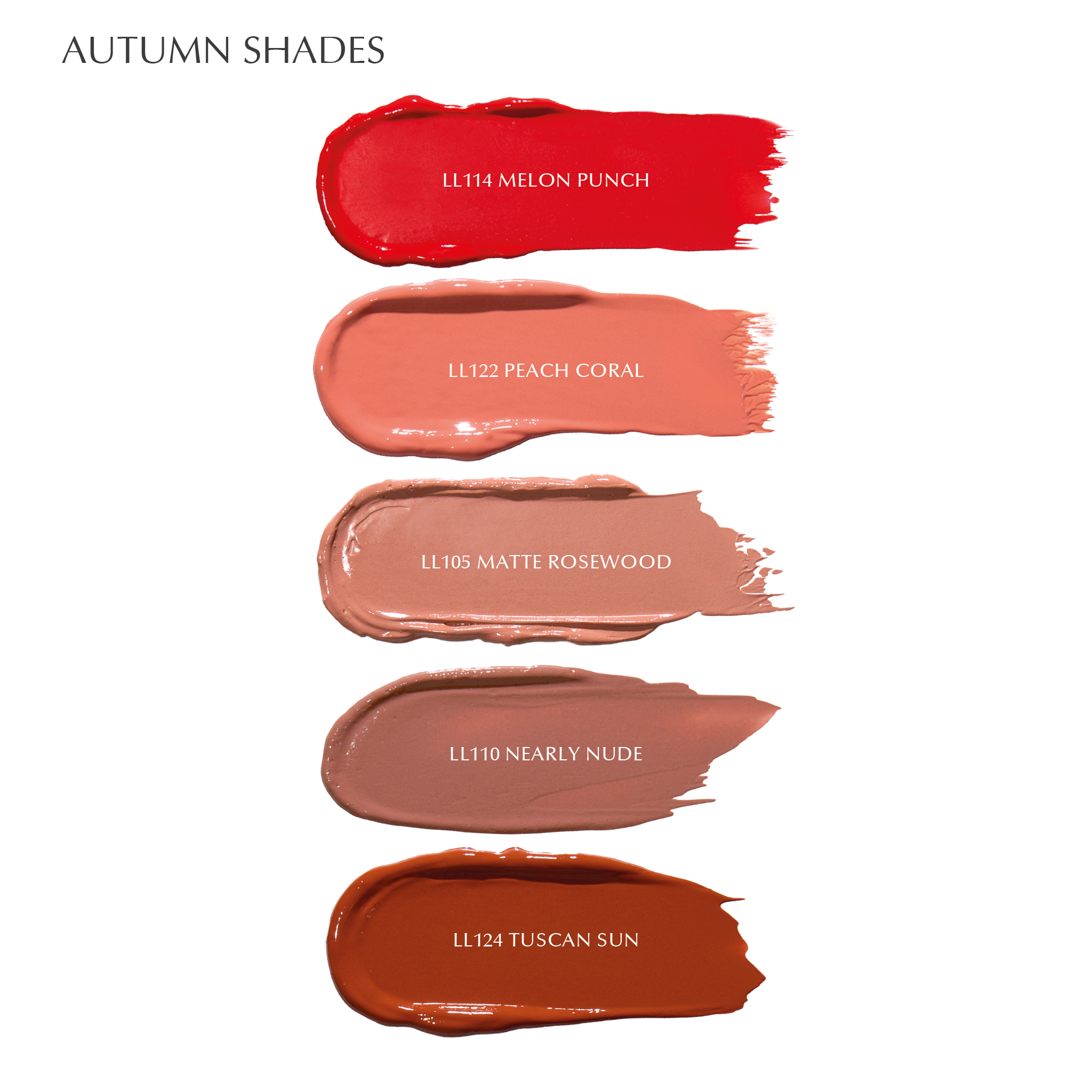 LIQUID MATTE LIPS - MATTE ROSEWOOD - LL105